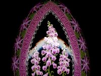 Foxglove 6a.jpg